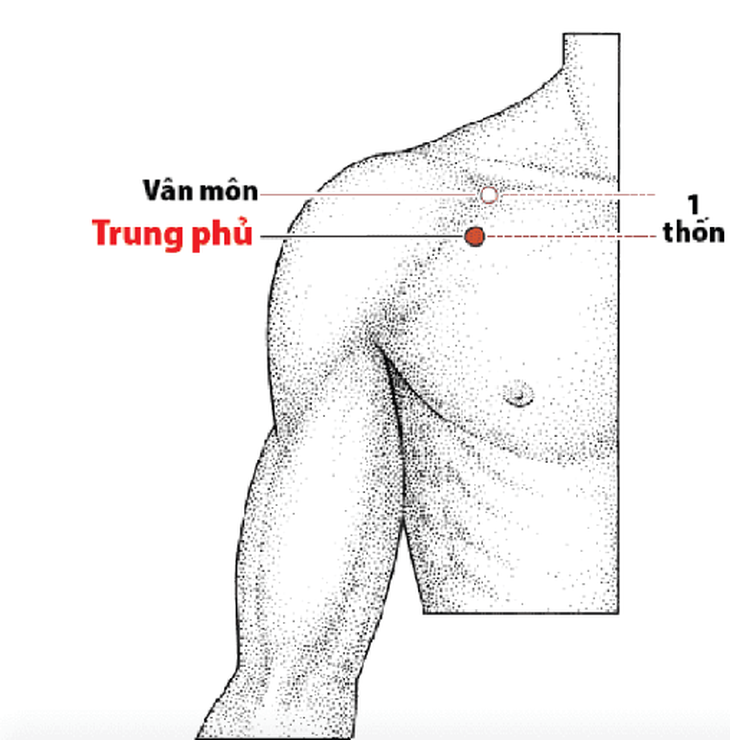 Xoa bóp, bấm huyệt trong điều trị hen phế quản - Ảnh 3. Xoa bóp, bấm huyệt trong điều trị hen phế quản - Ảnh 3.