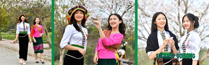 Thiếu nữ Thái ở Điện Biên dịu dàng giữa rừng hoa ban tuyệt đẹp - Ảnh 1.