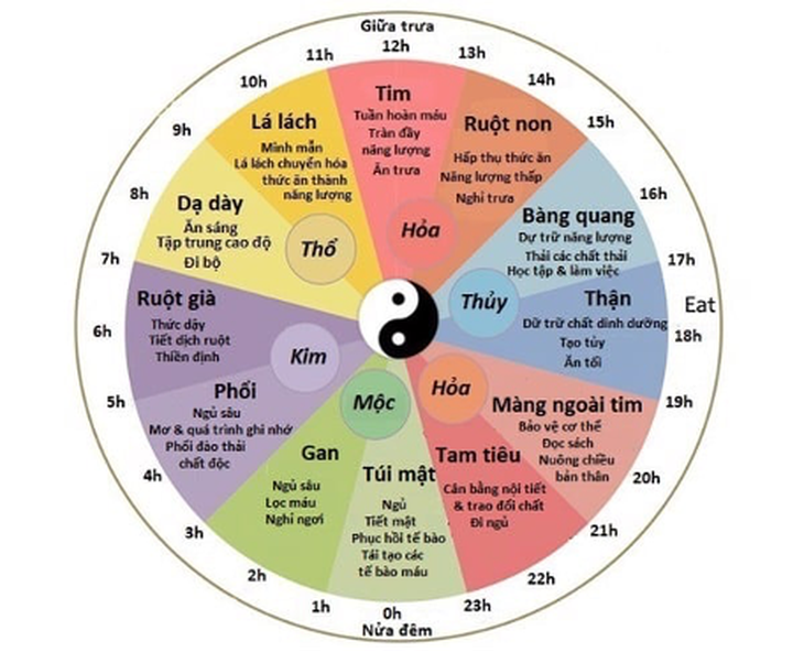 Chứng mất ngủ và cách sử dụng thực phẩm chức năng hỗ trợ - Ảnh 2.