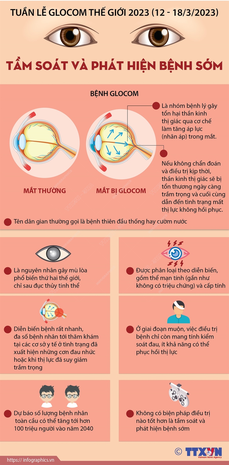 Tuần lễ Glocom Thế giới 2023 (12-18/3/2023): Tầm soát và phát hiện bệnh sớm - Ảnh 1.