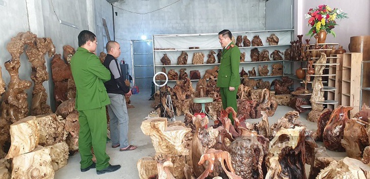 Khởi tố 01 bị can vi phạm quy định về khai thác, bảo vệ rừng và lâm sản. - Ảnh 1. Khởi tố 01 bị can vi phạm quy định về khai thác, bảo vệ rừng và lâm sản. - Ảnh 1.