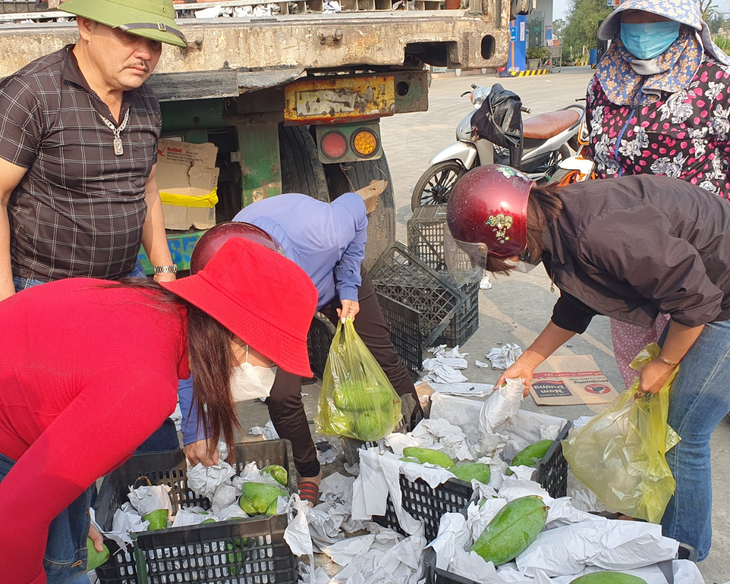 Người dân Hà Tĩnh chung tay ‘giải cứu’ xe chở hơn 30 tấn xoài bị lật - Ảnh 3. Người dân Hà Tĩnh chung tay ‘giải cứu’ xe chở hơn 30 tấn xoài bị lật - Ảnh 3.