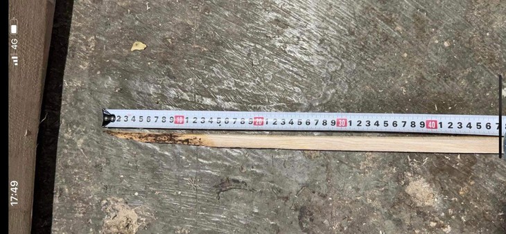 Thanh gỗ đâm thấu bụng anh thợ mộc - Ảnh 1.