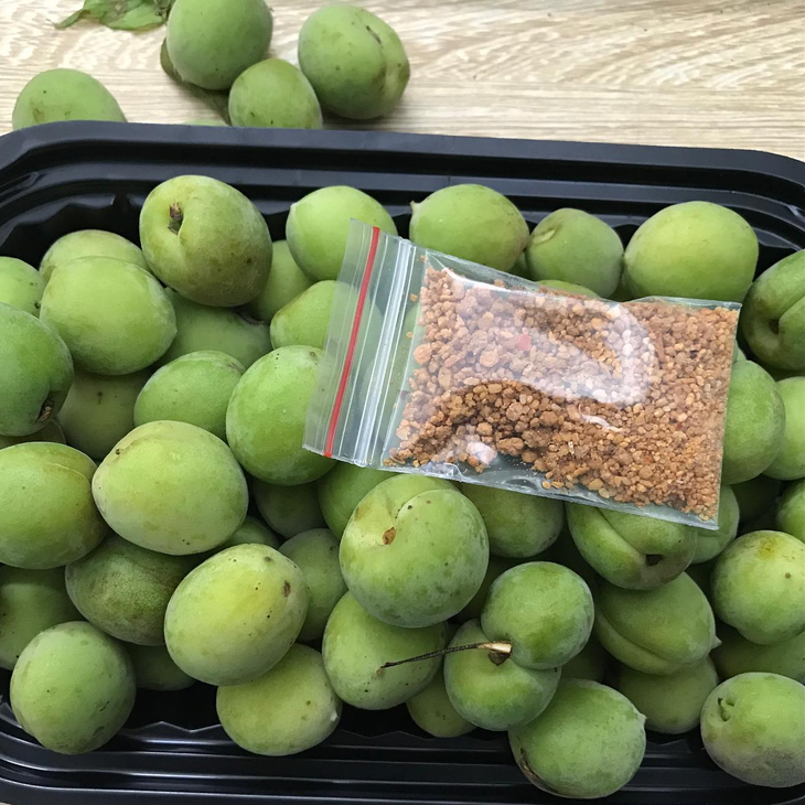 Mơ xanh đầu mùa giá bán gấp đôi so với thời điểm chính vụ, nhiều người vẫn săn lùng - Ảnh 2. Mơ xanh đầu mùa giá bán gấp đôi so với thời điểm chính vụ, nhiều người vẫn săn lùng - Ảnh 2.