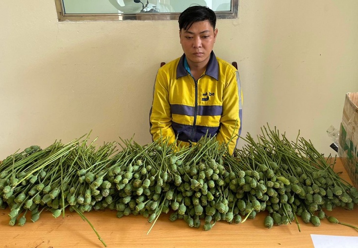 Bày bán ở cổng trường 5 kg cây thuốc phiện - Ảnh 1.