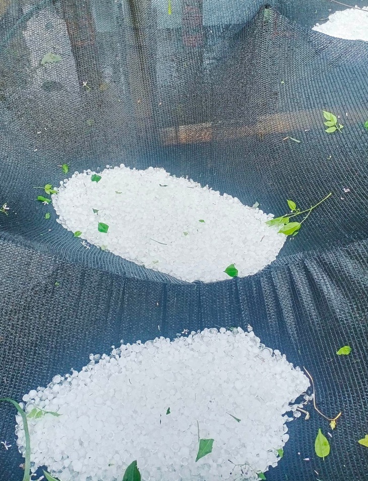 Tố lốc, mưa đá xuất hiện ở huyện miền núi Nghệ An - Ảnh 3. Tố lốc, mưa đá xuất hiện ở huyện miền núi Nghệ An - Ảnh 3.