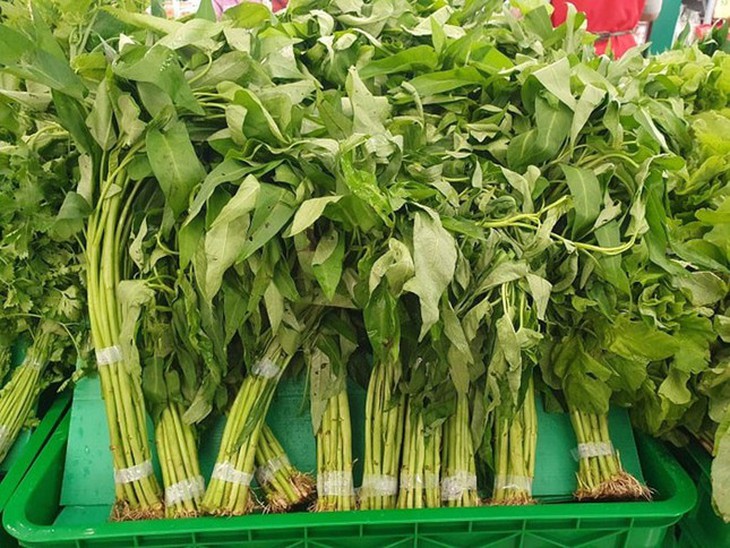 Lạ kỳ rau muống bán 5.000/ mớ ở Việt Nam ra nước ngoài tính theo cọng nhưng trồng ở địa điểm này lại là phạm pháp - Ảnh 2. Lạ kỳ rau muống bán 5.000/ mớ ở Việt Nam ra nước ngoài tính theo cọng nhưng trồng ở địa điểm này lại là phạm pháp - Ảnh 2.