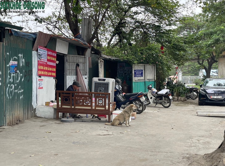 Nhan nhản tình trạng chó thả rông, không rọ mõm ở Hà Nội - Ảnh 6.