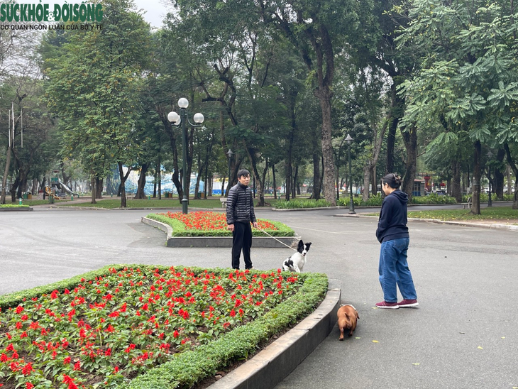 Nhan nhản tình trạng chó thả rông, không rọ mõm ở Hà Nội - Ảnh 6.