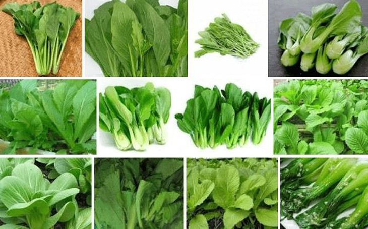 9 bí quyết duy trì trí não minh mẫn - Ảnh 3.