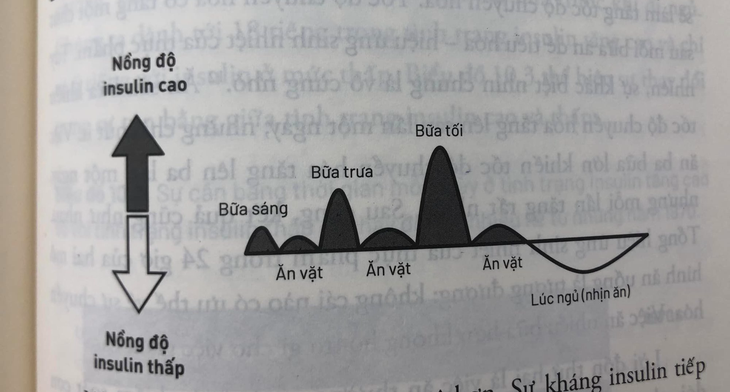 Những sai lầm phổ biến trong ăn uống gây béo phì và nguy cơ kháng insulin - Ảnh 3.