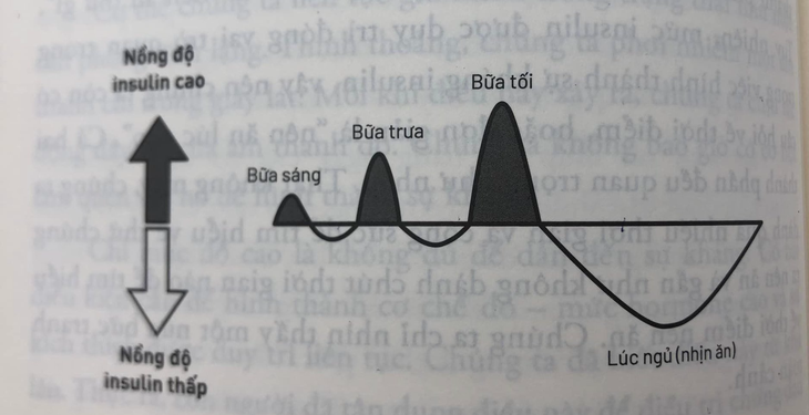 Những sai lầm phổ biến trong ăn uống gây béo phì và nguy cơ kháng insulin - Ảnh 2.