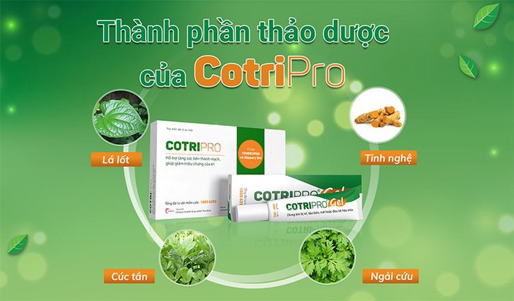 Lá lốt, thảo dược tốt cho người mắc trĩ - Ảnh 2.