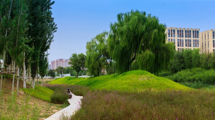 Những thành phố thiết kế thích nghi với nước biển dâng và lũ lụt - Ảnh 5.