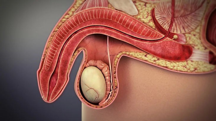 Những nguyên nhân phổ biến nào gây ra chứng bất lực ở đàn ông? - Ảnh 4. Những nguyên nhân phổ biến nào gây ra chứng bất lực ở đàn ông? - Ảnh 4.