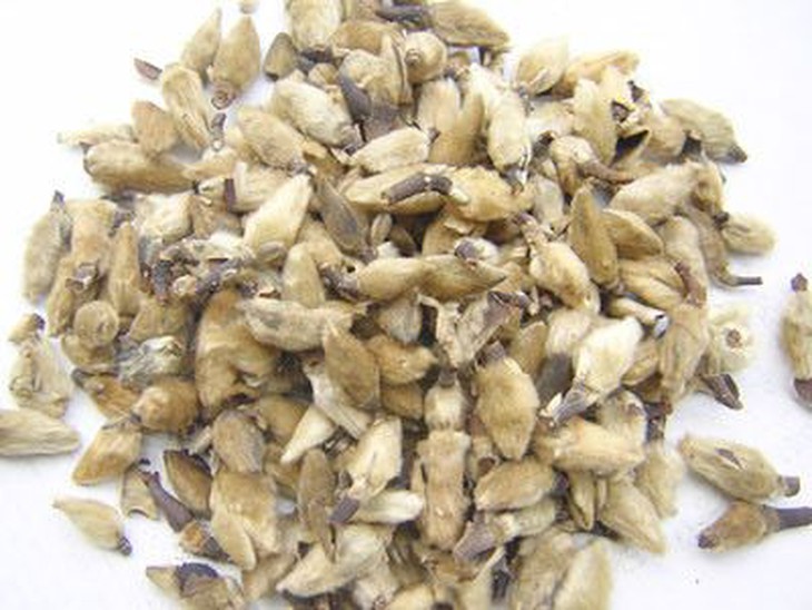 Hai bài thuốc trị viêm mũi dị ứng hiệu quả - Ảnh 3.