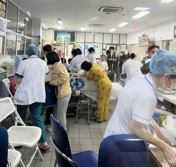 Vụ học sinh nghi bị ngộ độc khi đi dã ngoại: Chuyên gia nhi đưa ra cảnh báo - Ảnh 2. Vụ học sinh nghi bị ngộ độc khi đi dã ngoại: Chuyên gia nhi đưa ra cảnh báo - Ảnh 2.