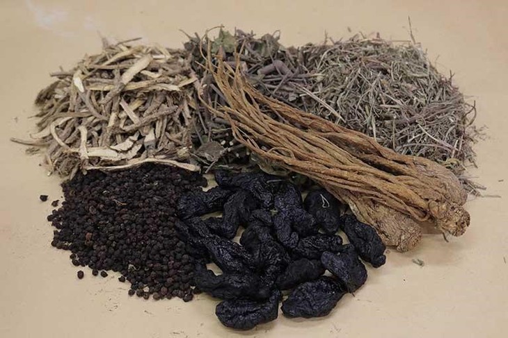 3 bài thuốc đông y hỗ trợ điều trị viêm xoang, giảm triệu chứng - Ảnh 2. 3 bài thuốc đông y hỗ trợ điều trị viêm xoang, giảm triệu chứng - Ảnh 2.