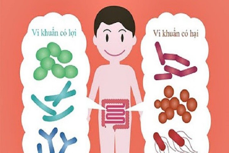 Tại sao phải sử dụng men vi sinh cho bé? - Ảnh 1.