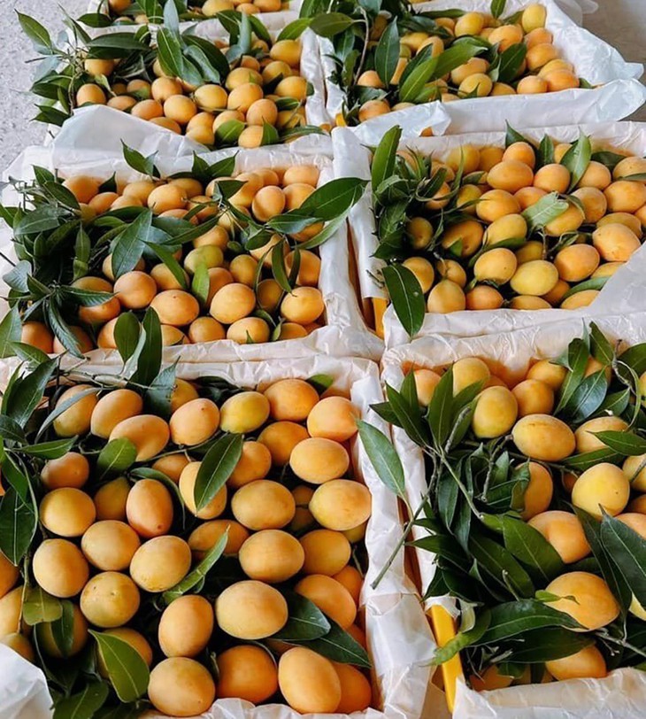 Từ mức cao chót vót, thanh trà Thái có giá rẻ như rau - Ảnh 2. Từ mức cao chót vót, thanh trà Thái có giá rẻ như rau - Ảnh 2.