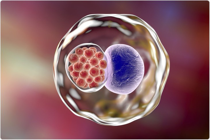 Bệnh lây truyền qua đường tình dục Chlamydia có thể gây ra những vấn đề gì? - Ảnh 2.