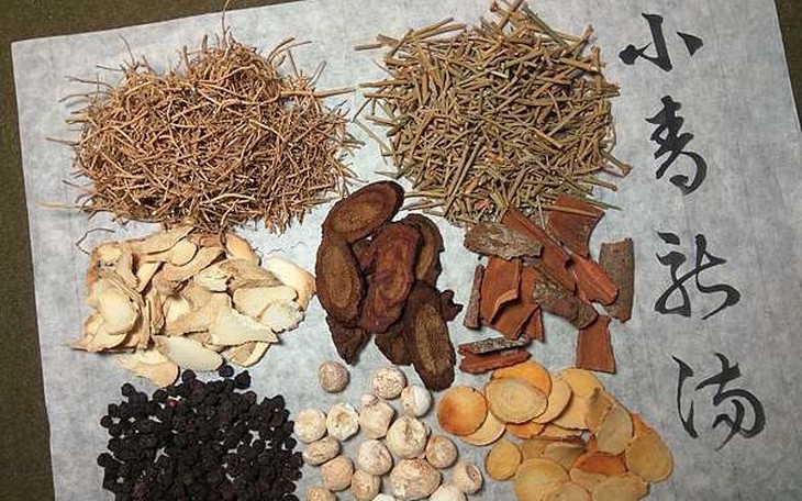 Bài thuốc cổ phương hỗ trợ giảm ho đờm, giúp thông thoáng đường hô hấp