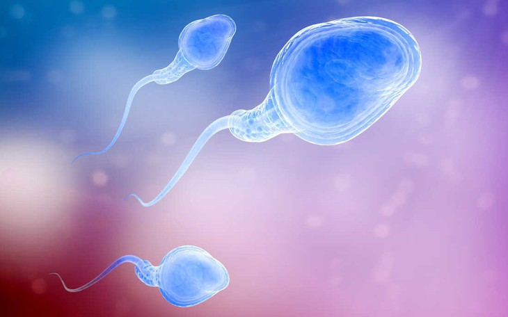 Những điều thú vị về sự khác biệt giữa tinh trùng và tinh dịch