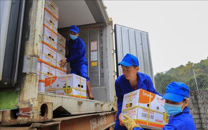 Đặc sản cam Cao Phong ra mắt tại thị trường Anh