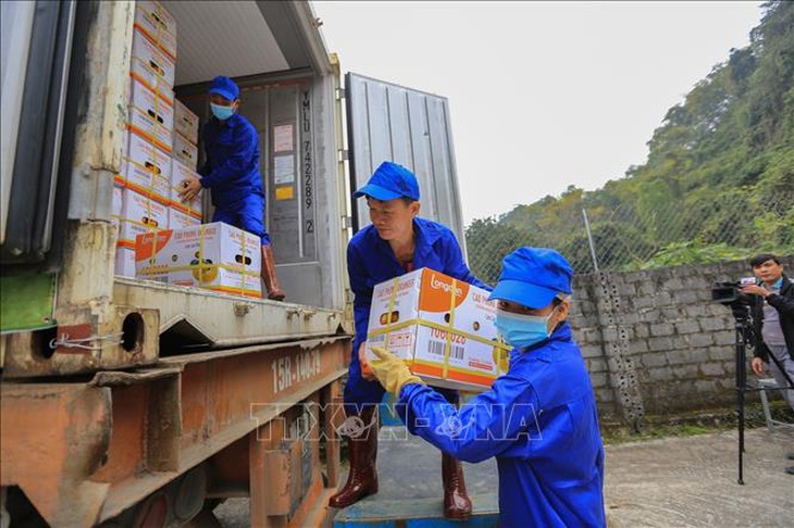 Đặc sản cam Cao Phong ra mắt tại thị trường Anh - Ảnh 1. Đặc sản cam Cao Phong ra mắt tại thị trường Anh - Ảnh 1.