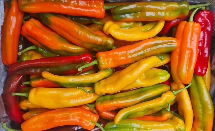 Một loại ớt bỗng thành hàng hot, giá đắt đỏ vẫn được chị em săn mua - Ảnh 1.