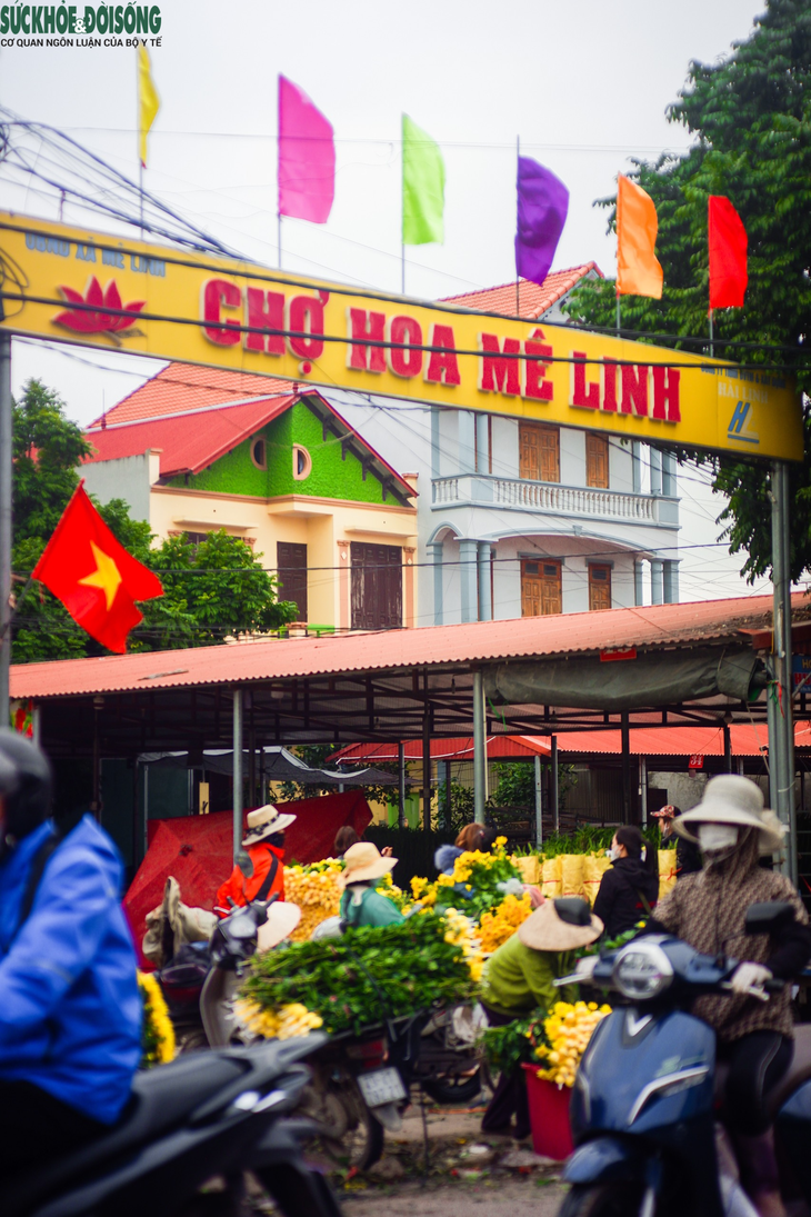 Tiểu thương "luôn tay luôn chân" vào ngày 8/3 tại chợ hoa lớn nhất Hà Nội - Ảnh 1.