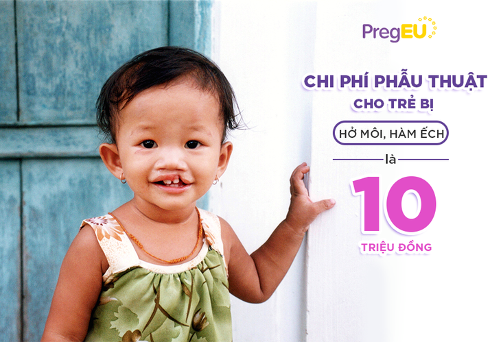 Phát động chiến dịch "Yêu con, mẹ chọn PregEU" - mang nụ cười tới cho trẻ hở môi, hàm ếch - Ảnh 2.