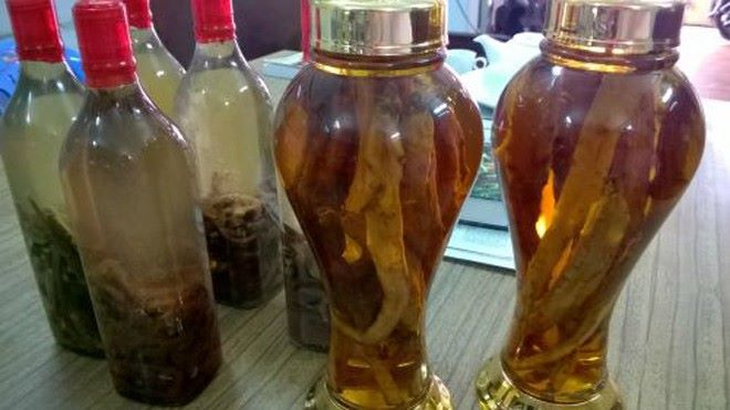 6 tiêu chí của rượu thuốc - Ảnh 2.