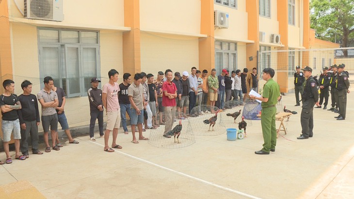 Triệt phá sới đá gà ăn tiền, bắt giữ 34 đối tượng - Ảnh 1.