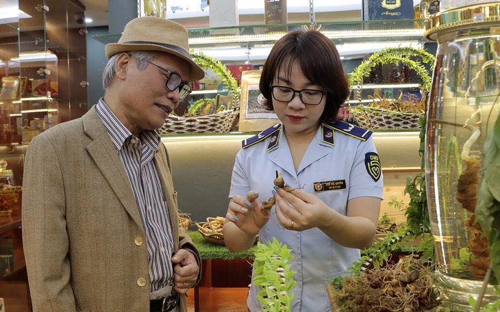 Cách nhận diện đúng Sâm Ngọc Linh trên thị trường