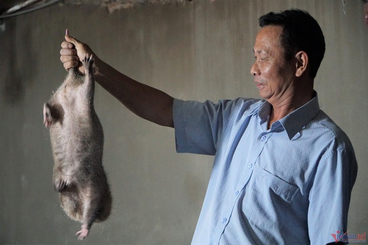 Bật quạt nuôi dúi, người đàn ông ở Thanh Hóa thu tiền tỷ mỗi năm - Ảnh 1.