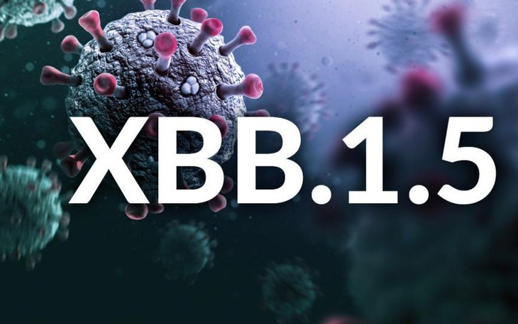Nghiên cứu về biến thể phụ Omicron XBB/XBB.1.5 và khả năng bảo vệ của vaccine COVID-19