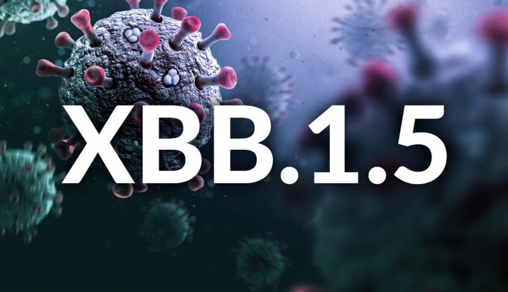 Nghiên cứu về biến thể phụ omicron XBB/XBB.1.5 - Ảnh 1. Nghiên cứu về biến thể phụ omicron XBB/XBB.1.5 - Ảnh 1.