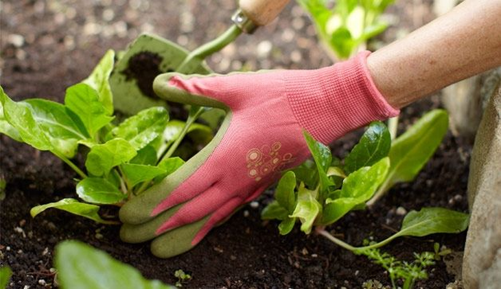 8 cách vận động khi không tập thể thao - Ảnh 5.