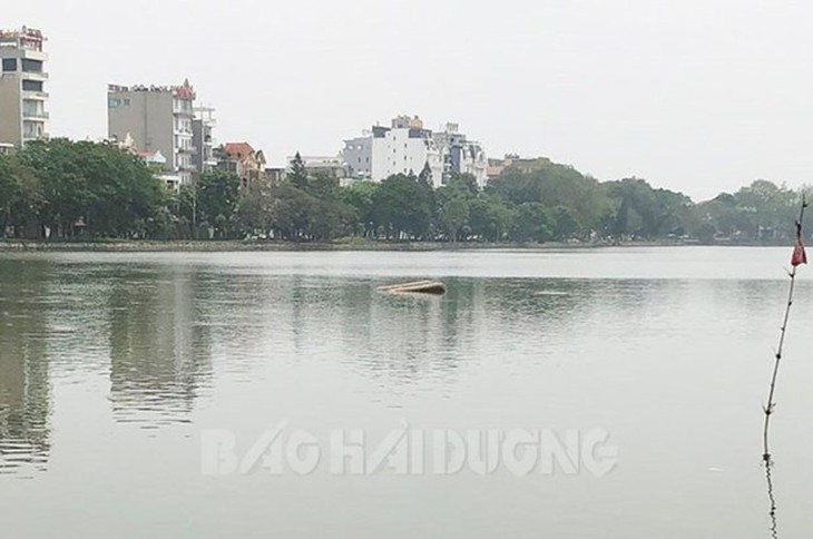 Hải Dương: Chơi đạp vịt với mẹ, bé gái bị lật thuyền dẫn đến tử vong - Ảnh 1. Hải Dương: Chơi đạp vịt với mẹ, bé gái bị lật thuyền dẫn đến tử vong - Ảnh 1.