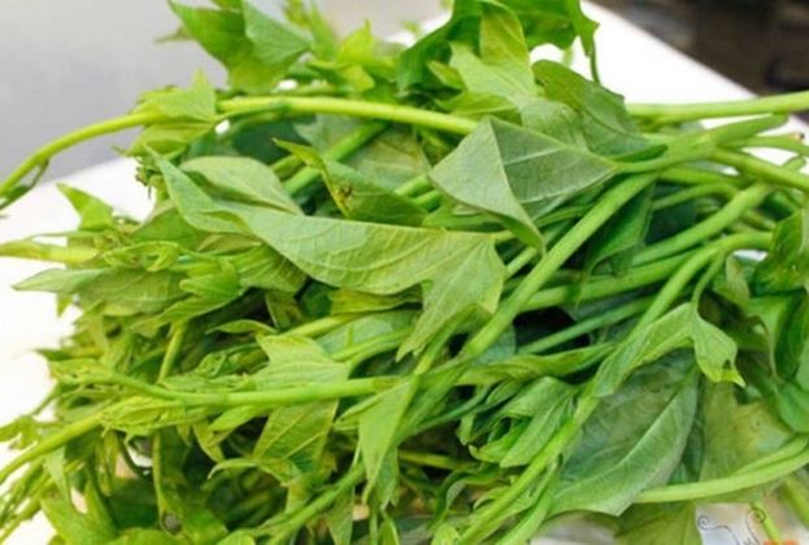 Khoai lang - món ăn dân dã, vị thuốc quý - Ảnh 3.