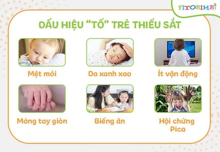 Cách điều trị thiếu máu thiếu sắt ở trẻ em - Ảnh 1.