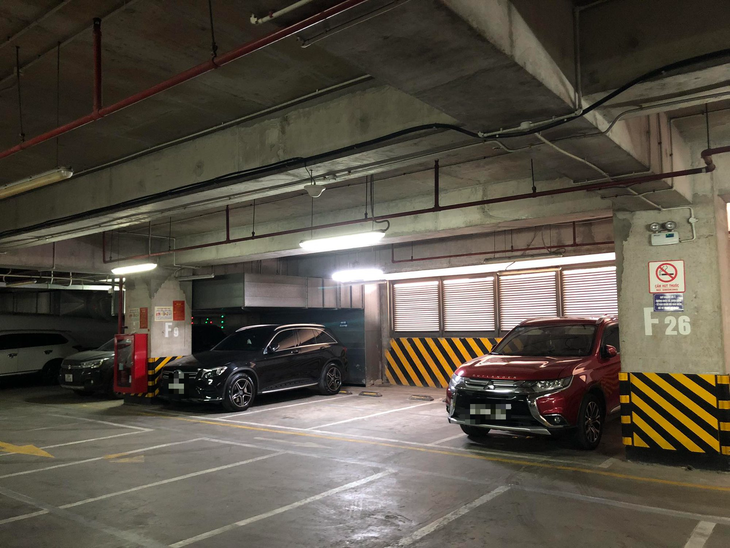 Khởi tố đối tượng sát hại người phụ nữ ở hầm chung cư - Ảnh 2.