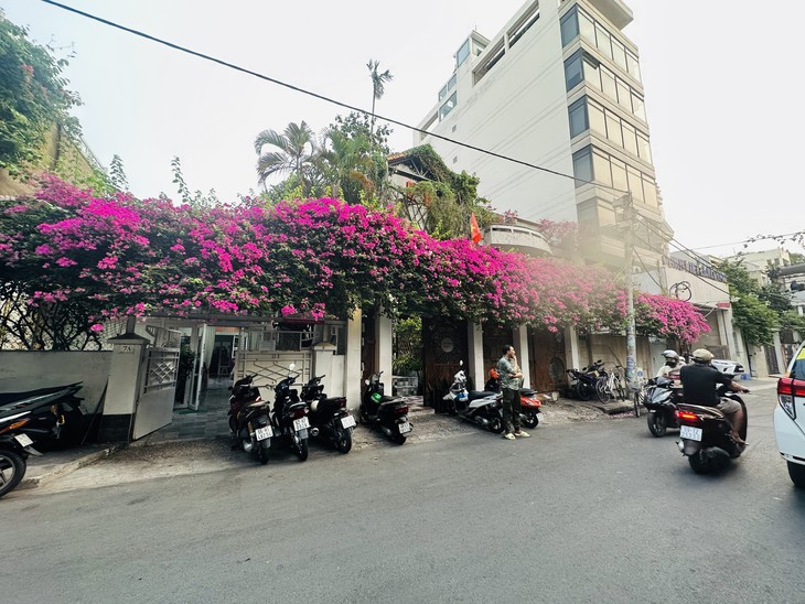 Giới trẻ đổ xô đến check-in hoa giấy đẹp rực rỡ ở TP.HCM, chủ nhà đặt biển hạn chế chụp ảnh - Ảnh 1.