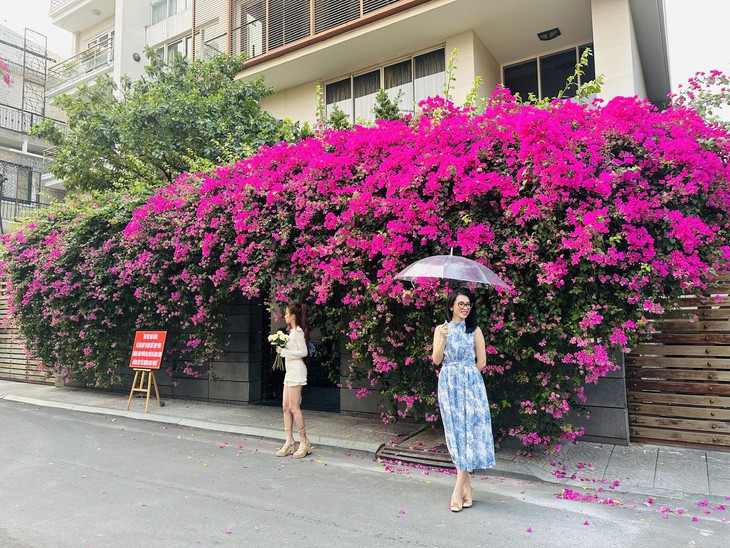 Giới trẻ đổ xô đến check-in hoa giấy đẹp rực rỡ ở TP.HCM, chủ nhà đặt biển hạn chế chụp ảnh - Ảnh 2.