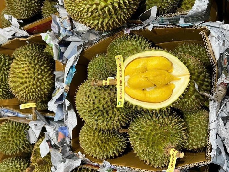 Mải mê xuất sầu riêng sang Trung Quốc, hàng Thái tràn chợ Việt bán giá cao - Ảnh 3. Mải mê xuất sầu riêng sang Trung Quốc, hàng Thái tràn chợ Việt bán giá cao - Ảnh 3.