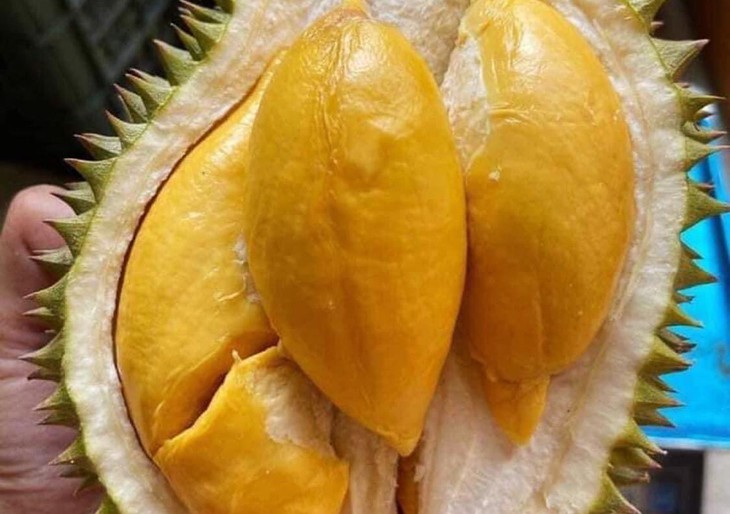 Mải mê xuất sầu riêng sang Trung Quốc, hàng Thái tràn chợ Việt bán giá cao - Ảnh 2. Mải mê xuất sầu riêng sang Trung Quốc, hàng Thái tràn chợ Việt bán giá cao - Ảnh 2.
