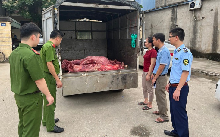 Vận chuyển hơn 2 tạ thịt lợn đang trong quá trình phân huỷ, bốc mùi hôi thối đi tiêu thụ
