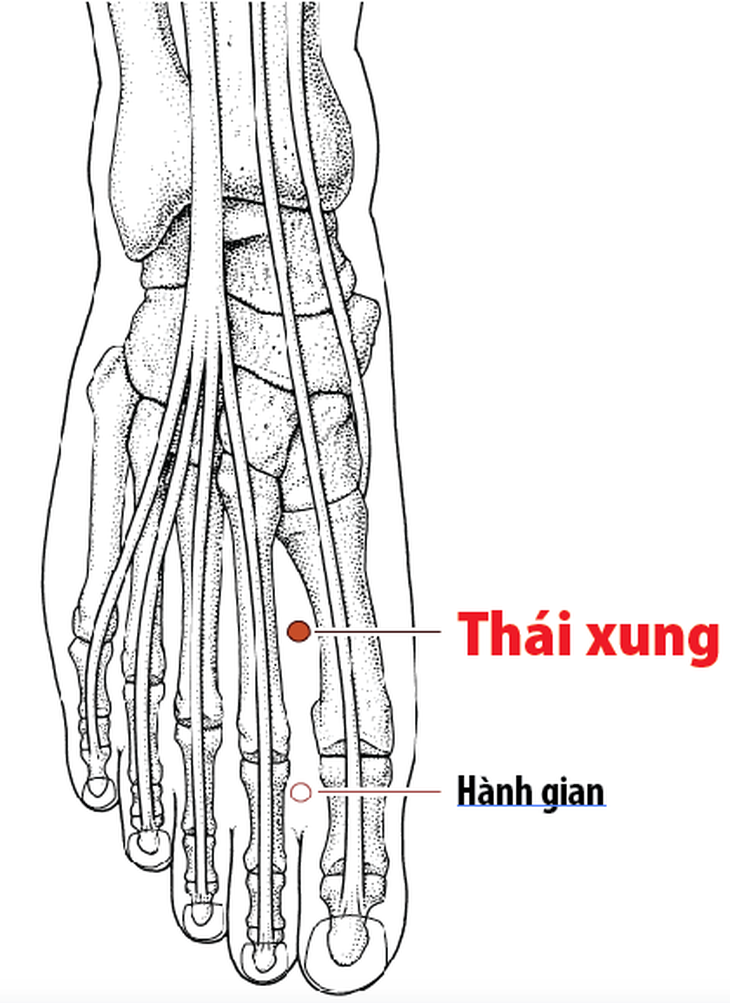 Xoa bóp, bấm huyệt hỗ trợ điều trị đau dạ dày - Ảnh 8.