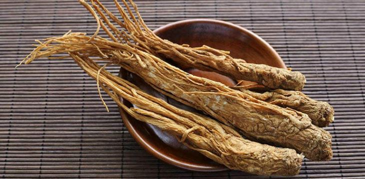 Bài thuốc, món ăn bổ máu có đương quy - Ảnh 2.